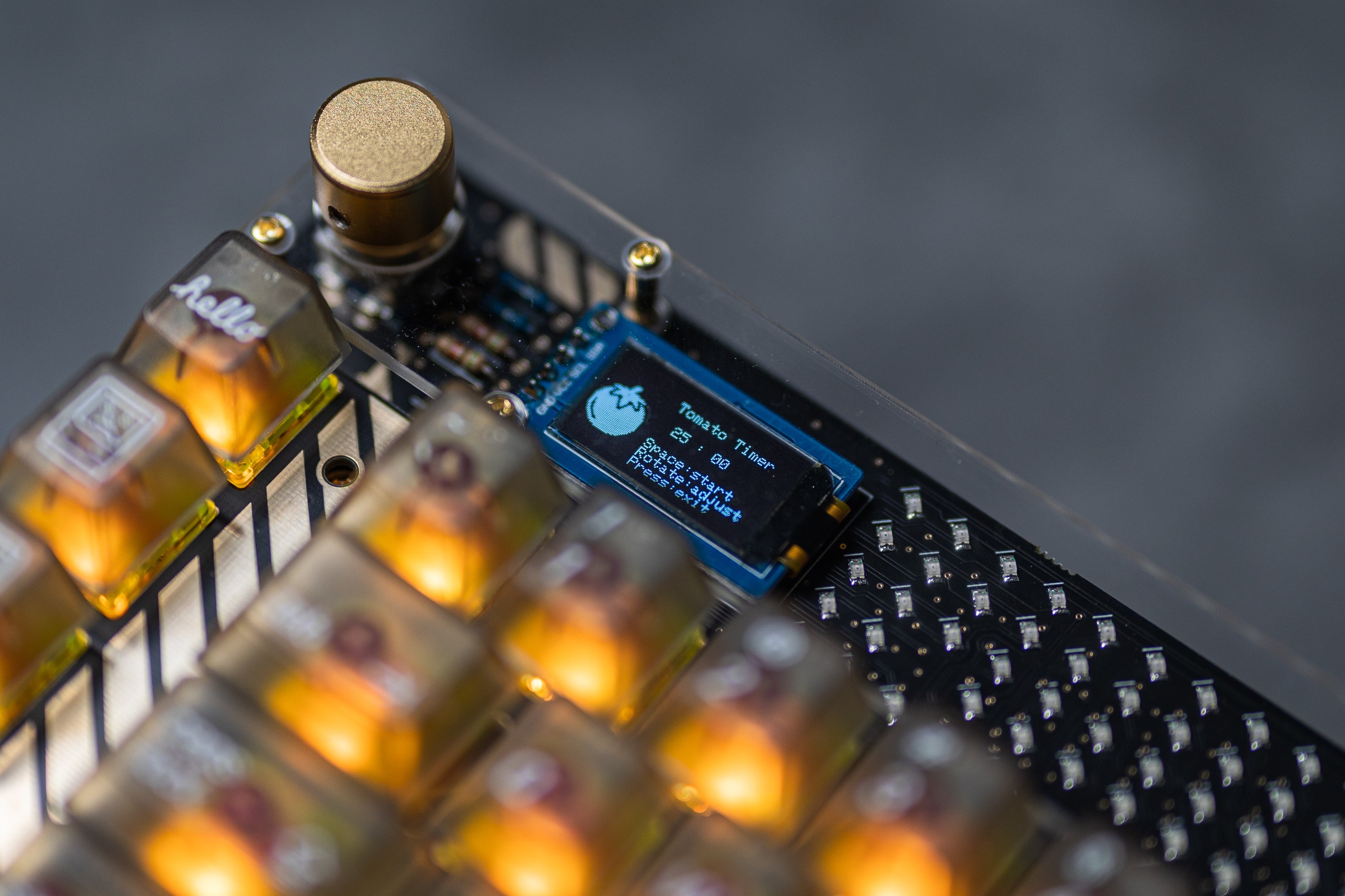 LeleLab Special 20% Off