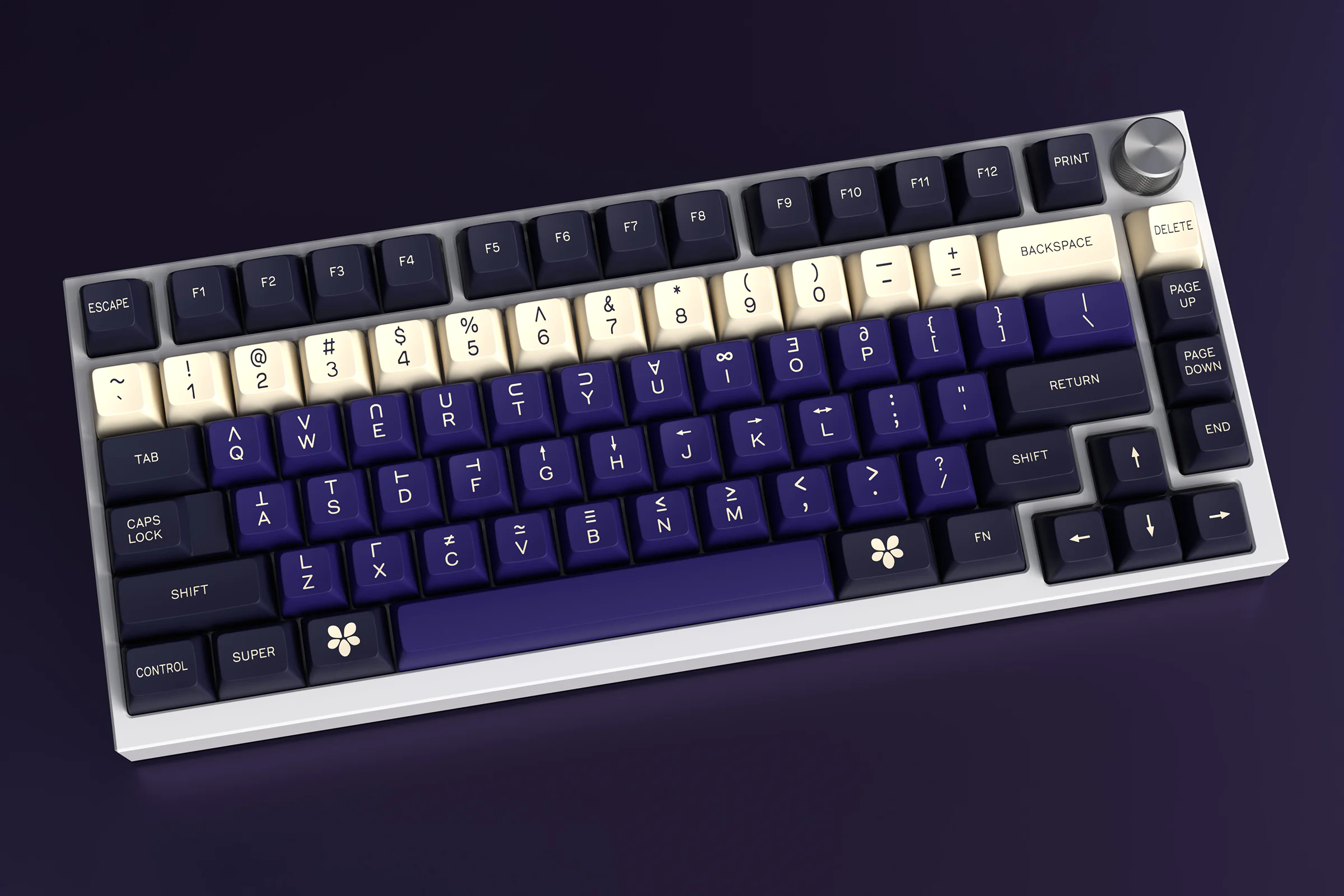 [In Stock] SP SA A History of Violets