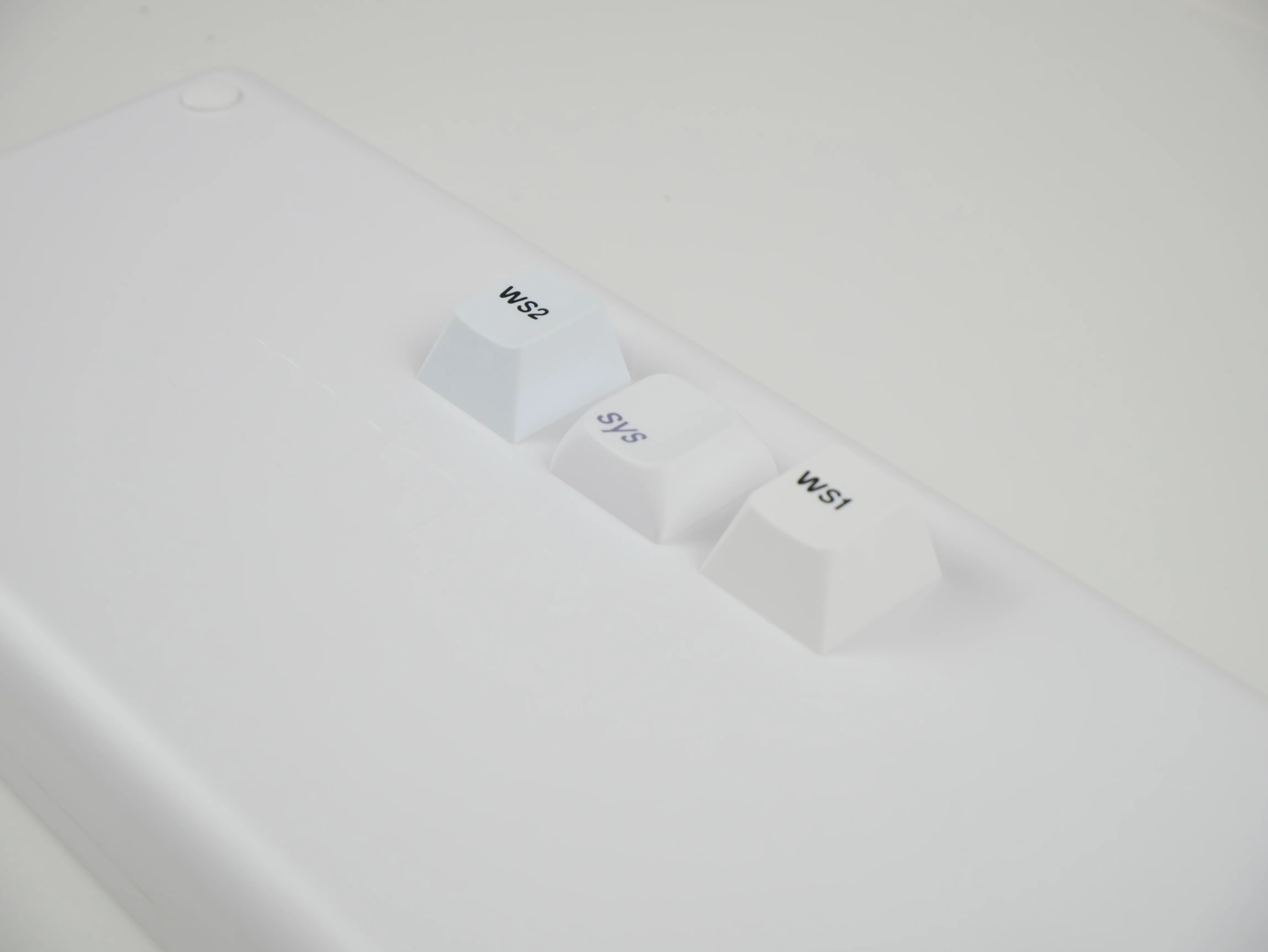 [Pre Order] PBS Crispin