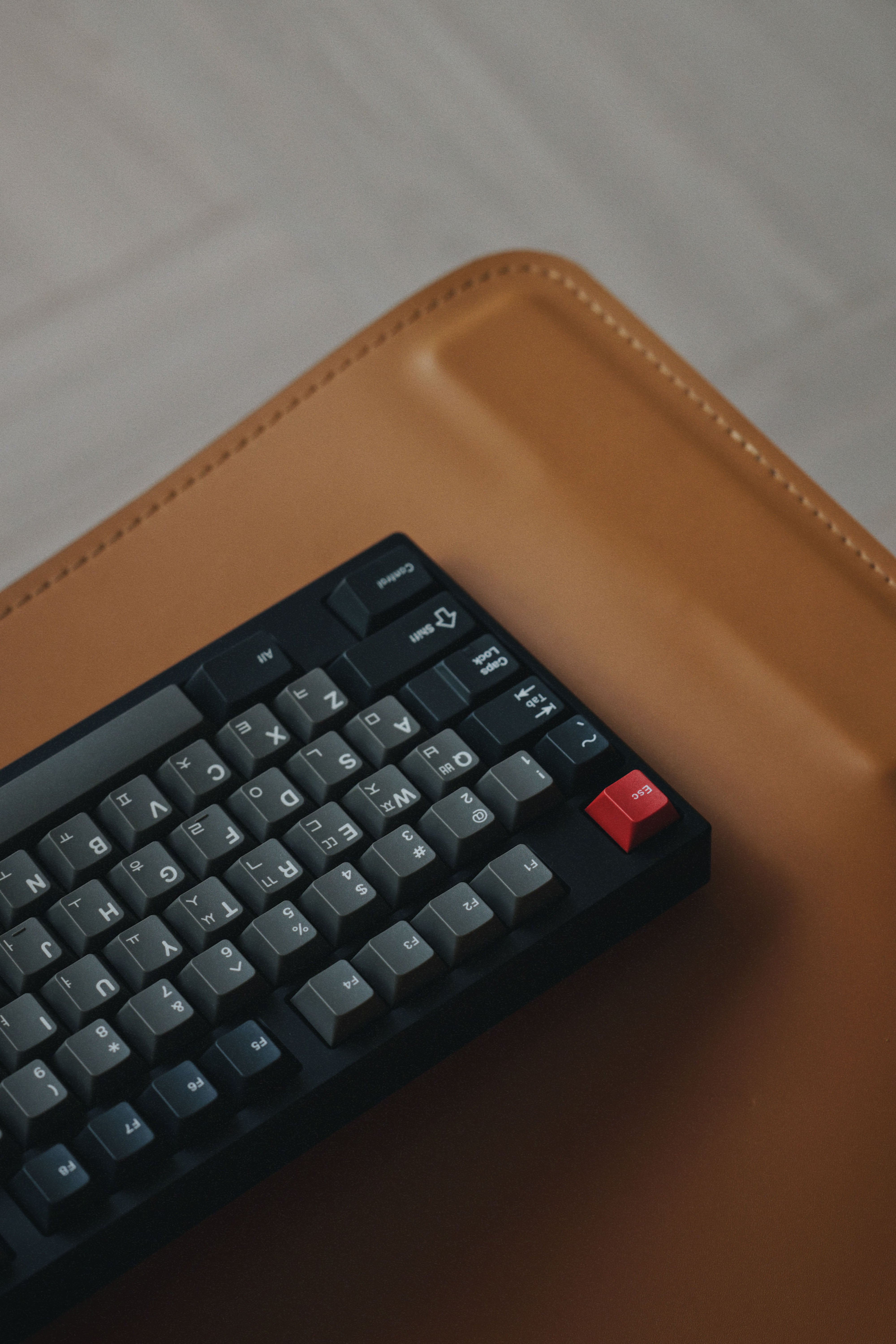 [Pre Order] Seal TKL 80% Dolch Edition by Sensy