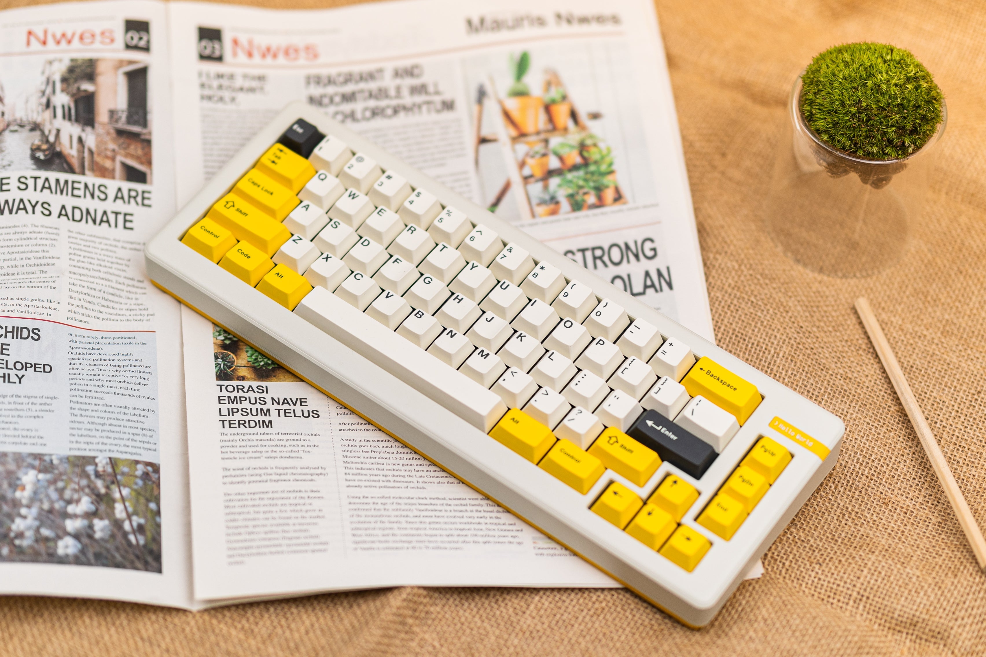 In Stock] Coder 66 by DeskTop Lab