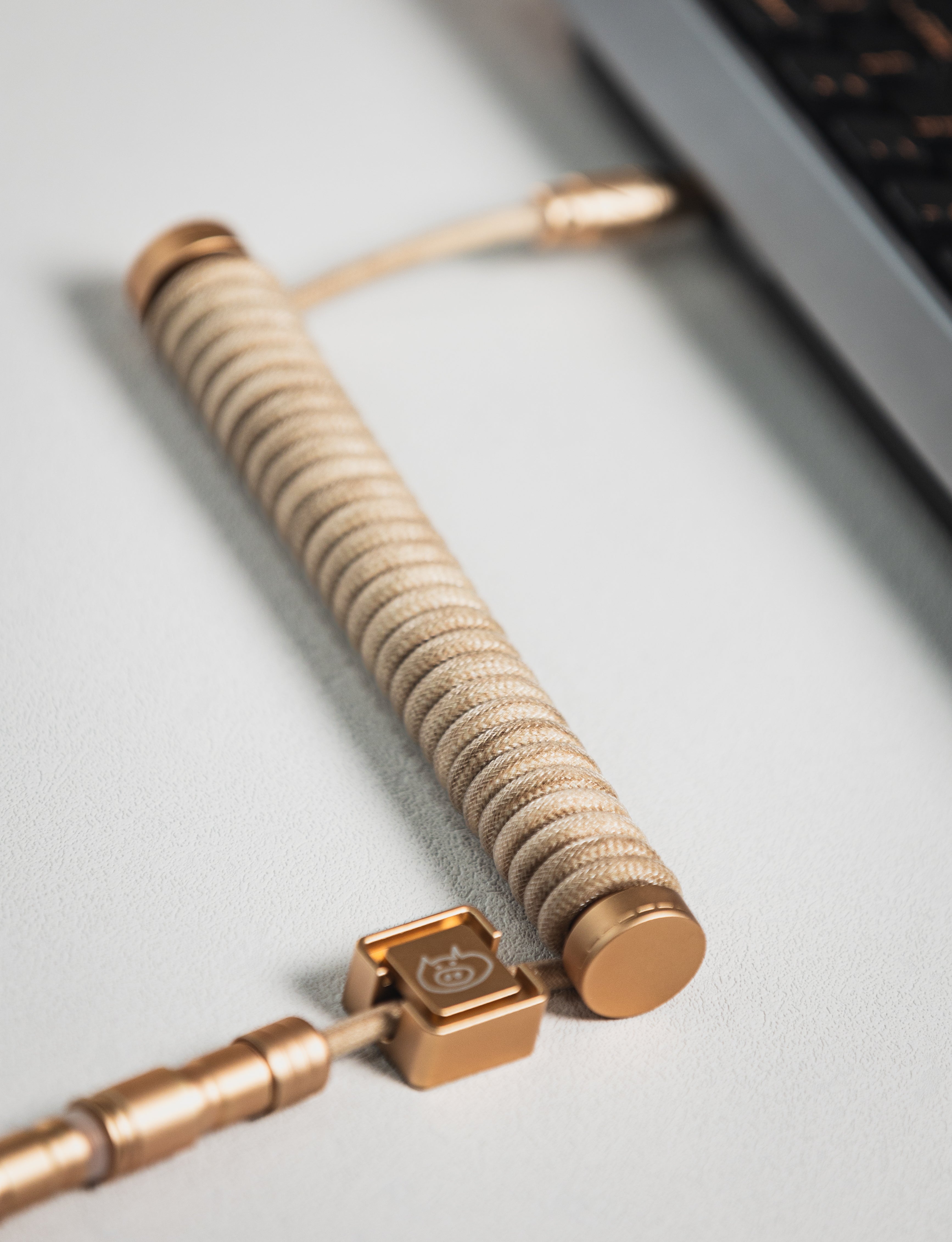 [In Stock] LeleLab x Win Shop Dune Coiled Aviator USB Cable