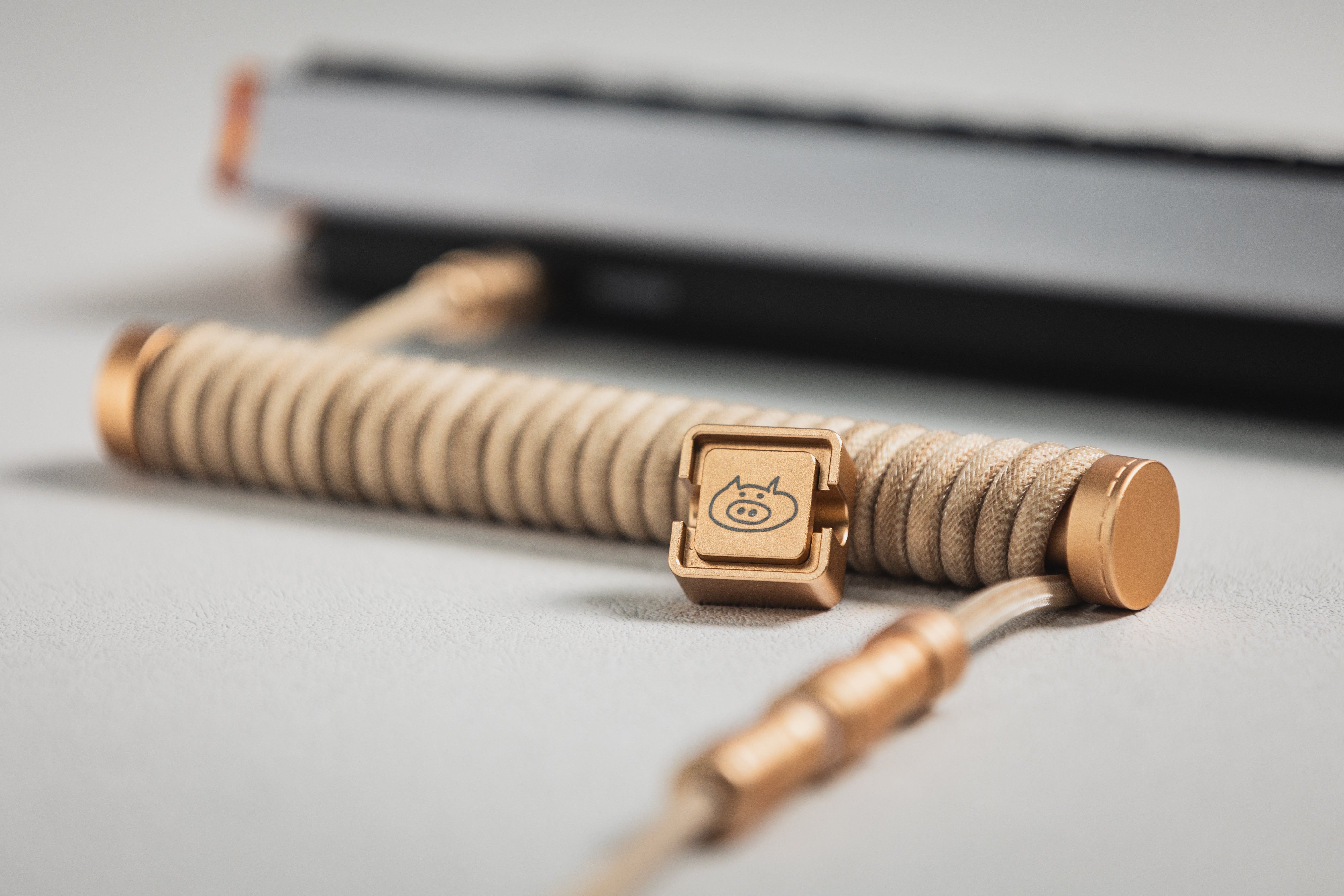 [In Stock] LeleLab x Win Shop Dune Coiled Aviator USB Cable