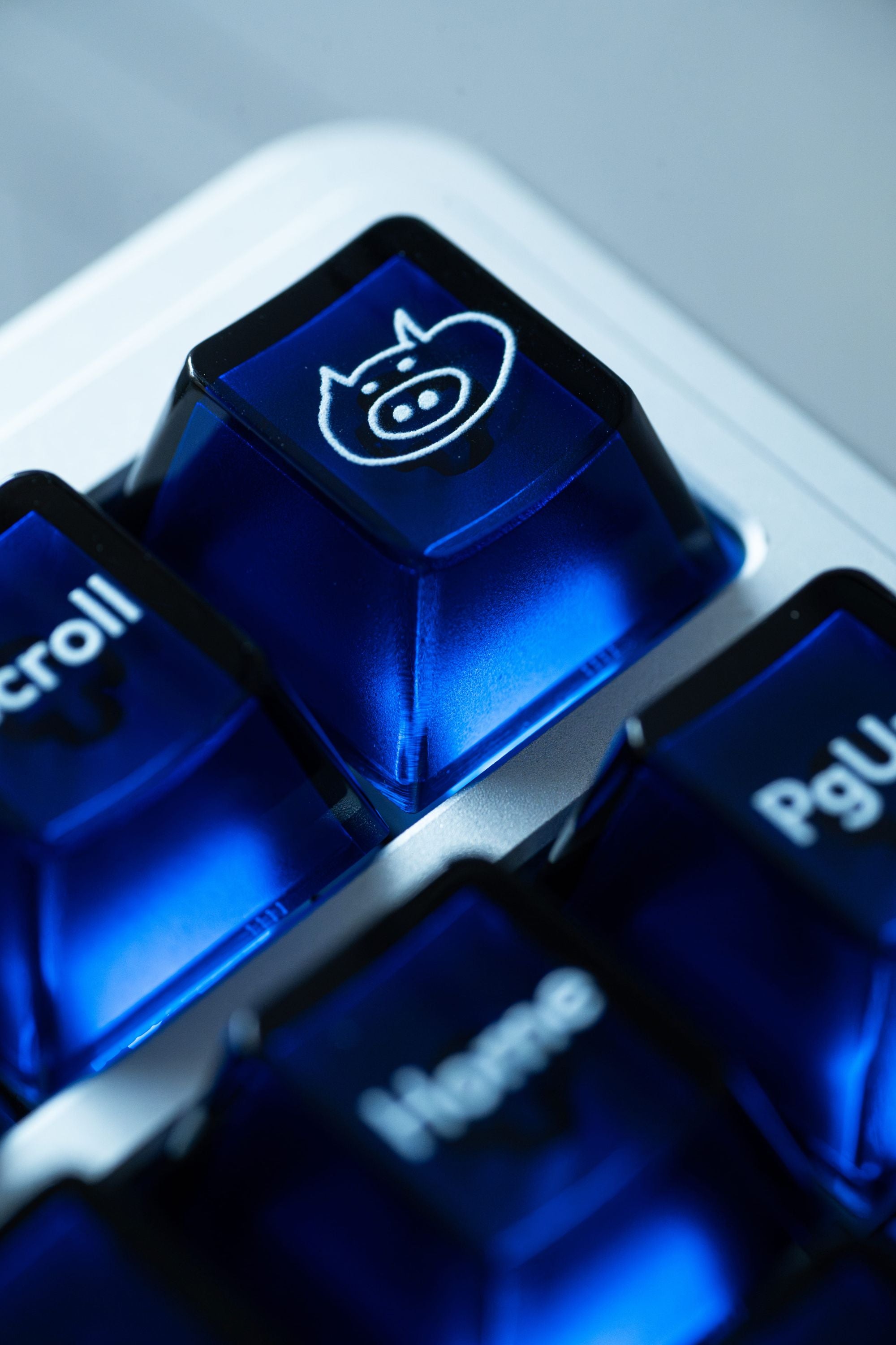 [In Stock] LeleLab Gems Keycap Set