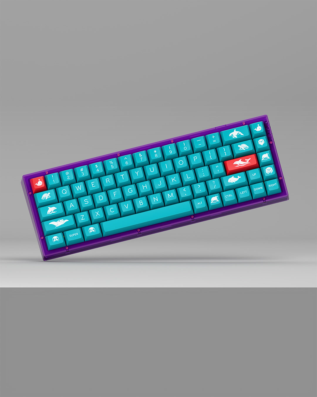 [Group buy] SP SA Ocean Spirit