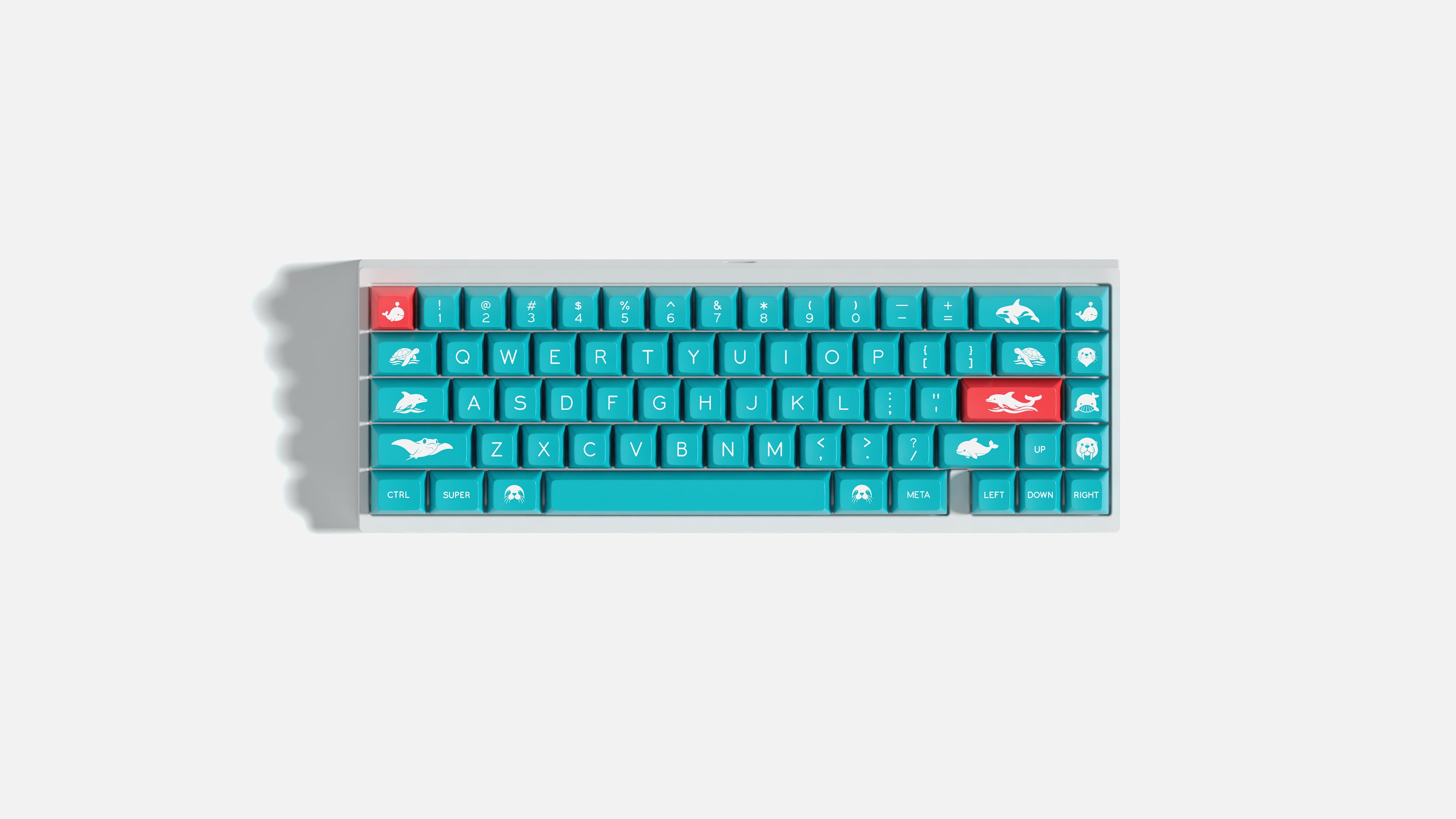[Group buy] SP SA Ocean Spirit
