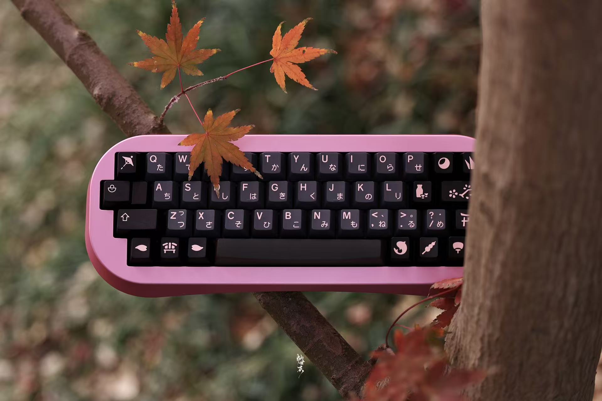 [Pre Order] SOAP40 MX & EC Keyboard Kit by Butter Club