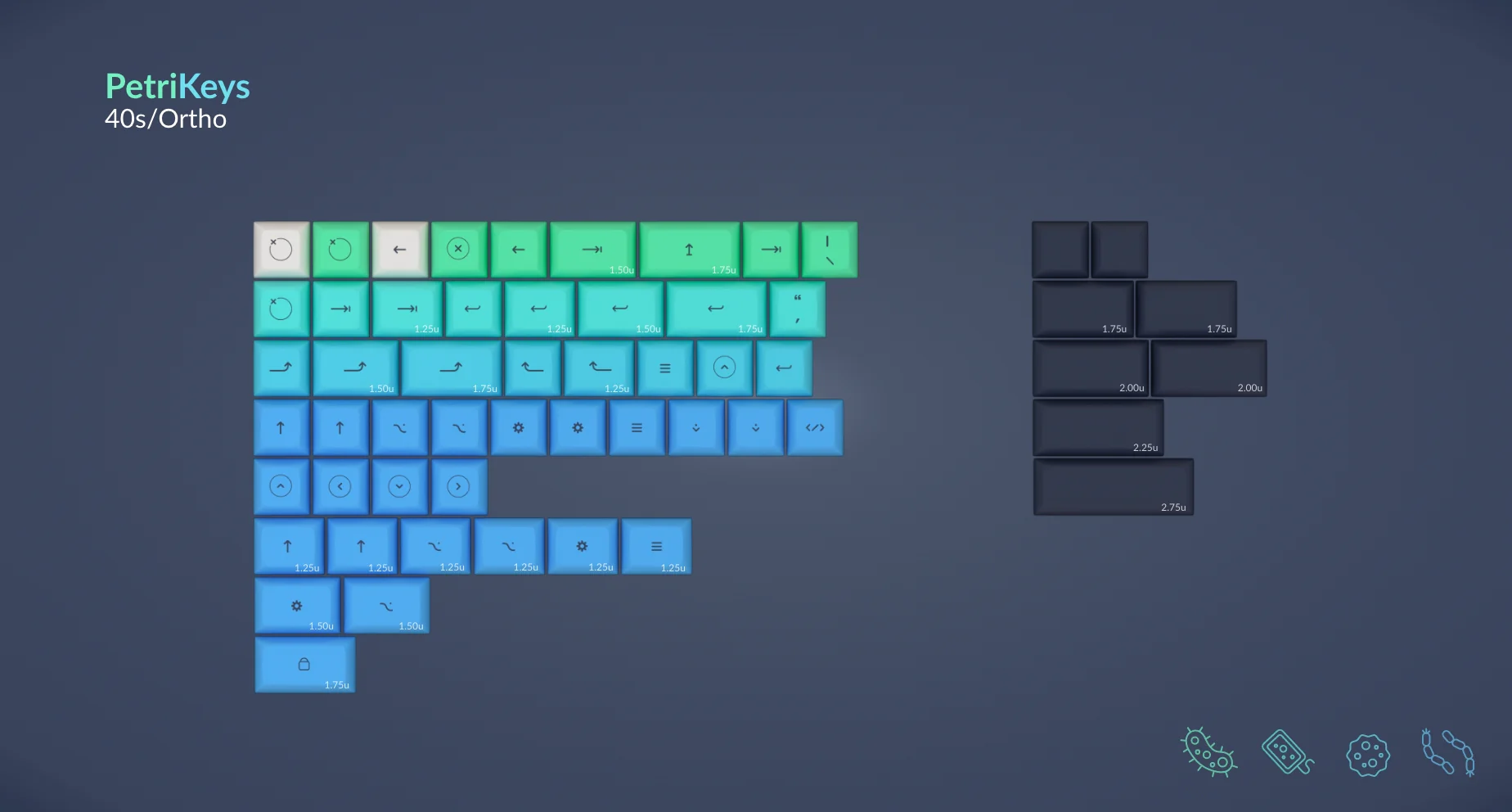 [In Stock] SP DSA PetriKeys