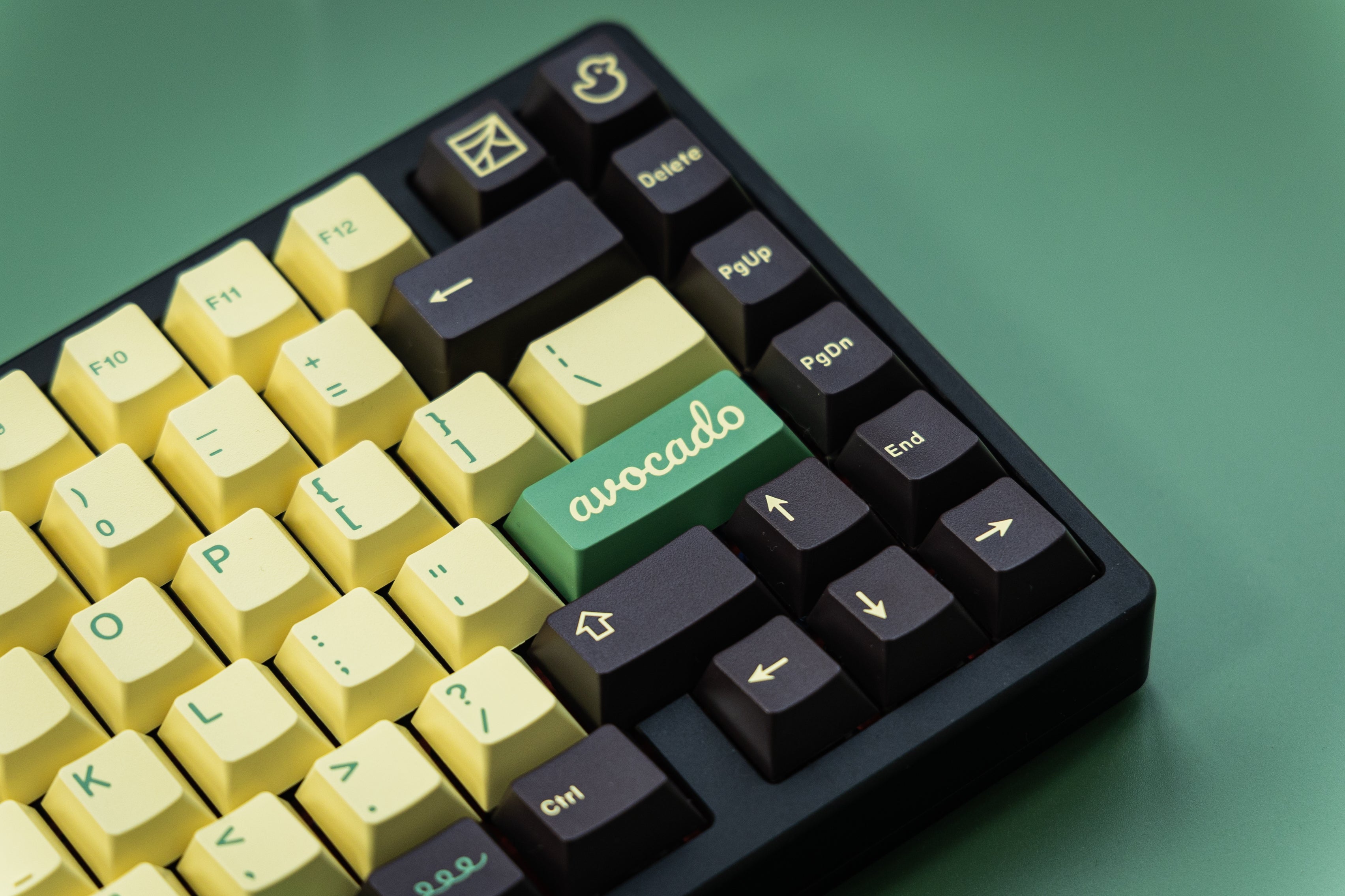 In Stock] JTK Avocado