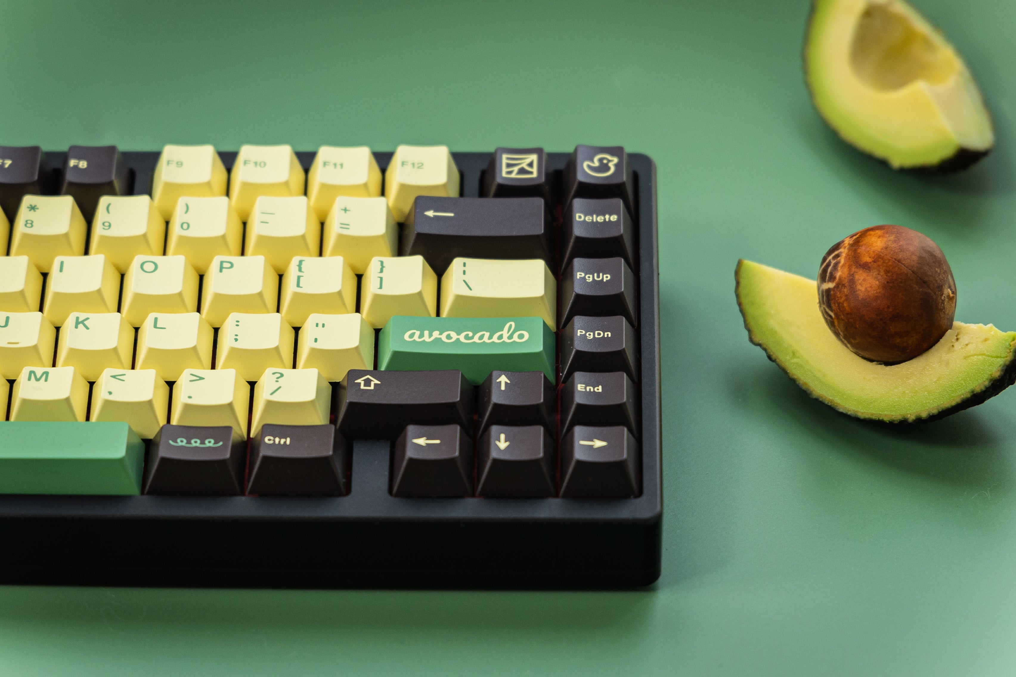 In Stock] JTK Avocado